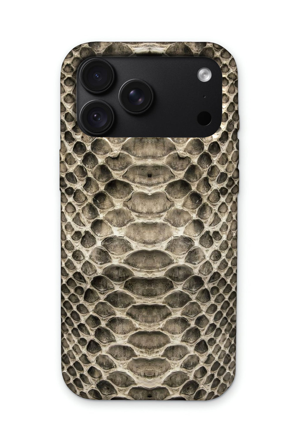 SILVER SNAKE
