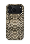 SILVER SNAKE