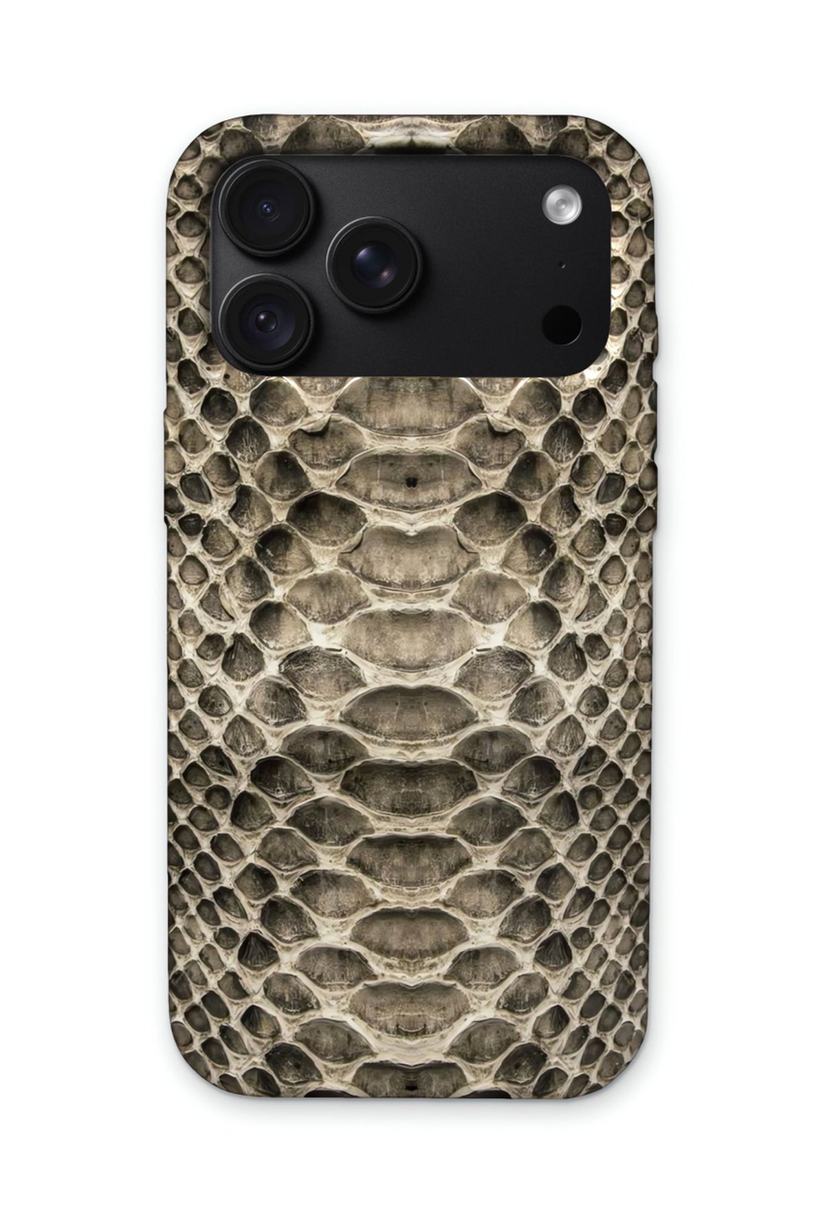 SILVER SNAKE