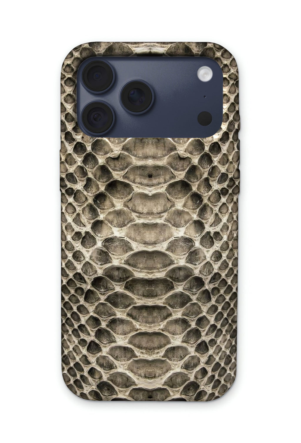 SILVER SNAKE