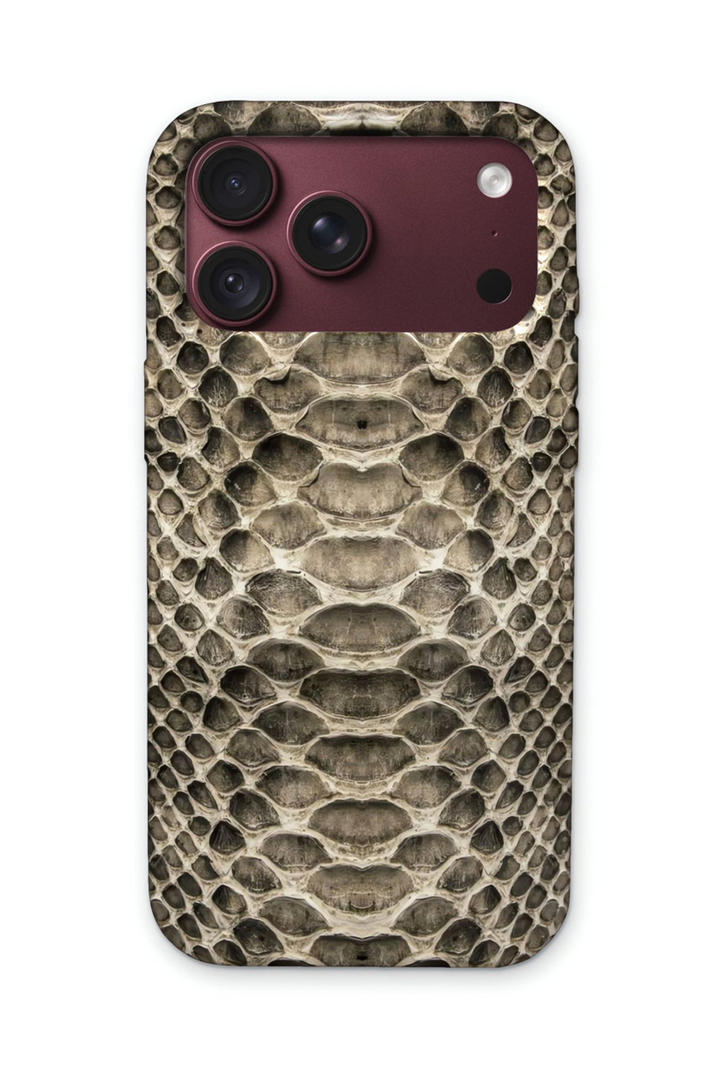 SILVER SNAKE