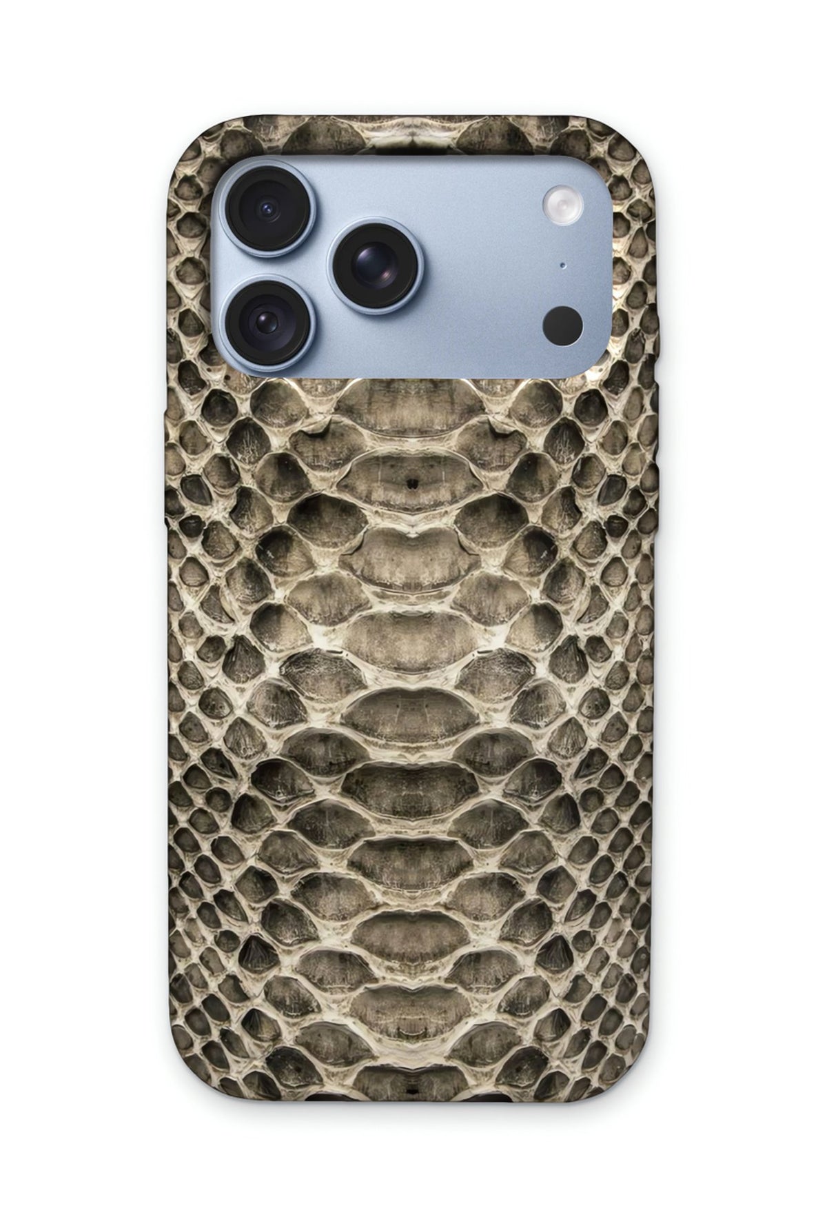 SILVER SNAKE