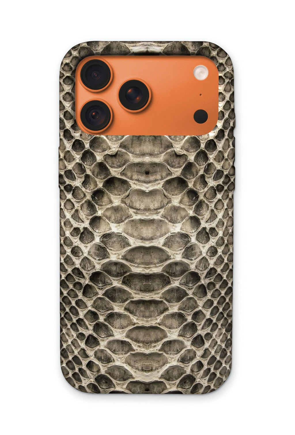 SILVER SNAKE