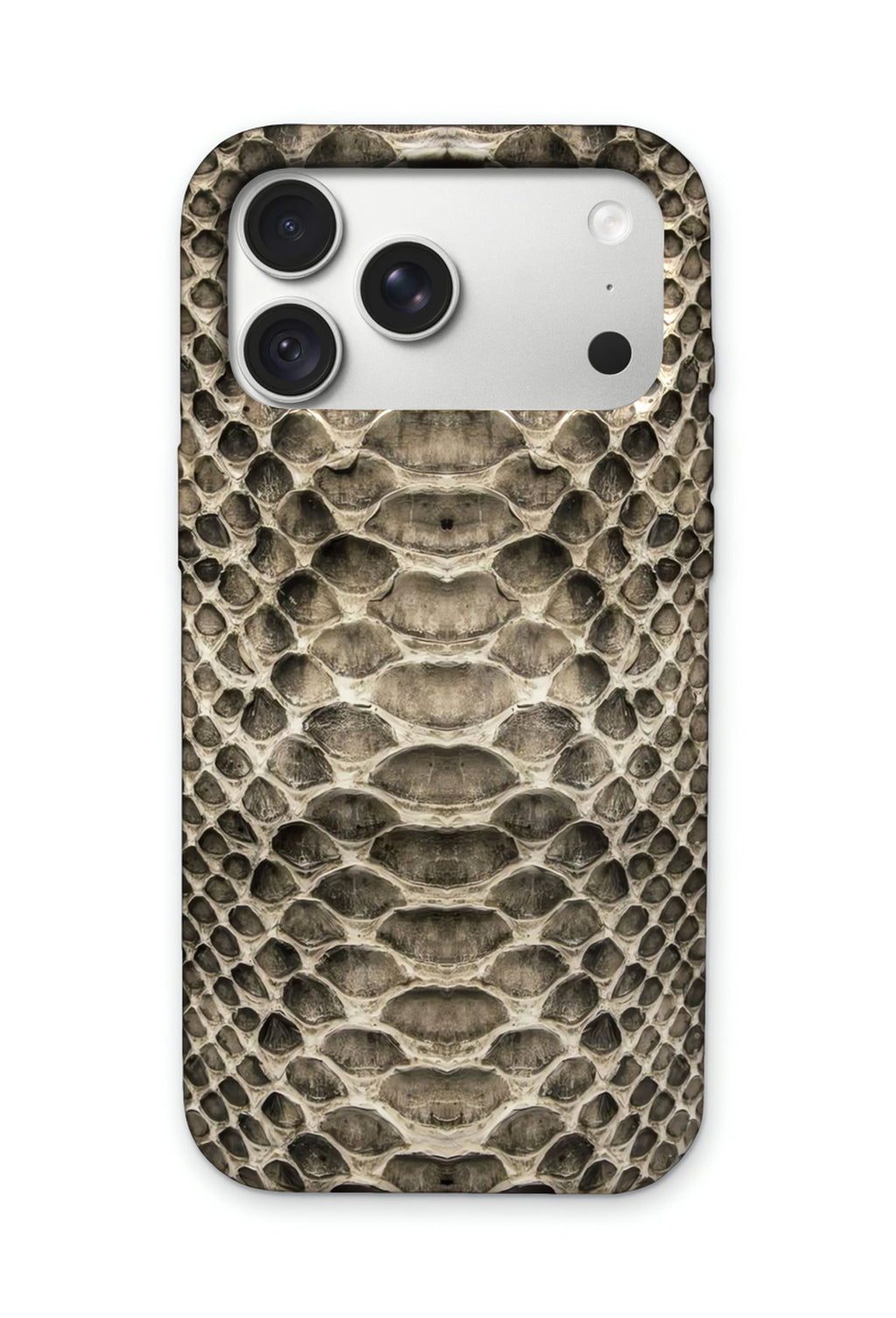 SILVER SNAKE