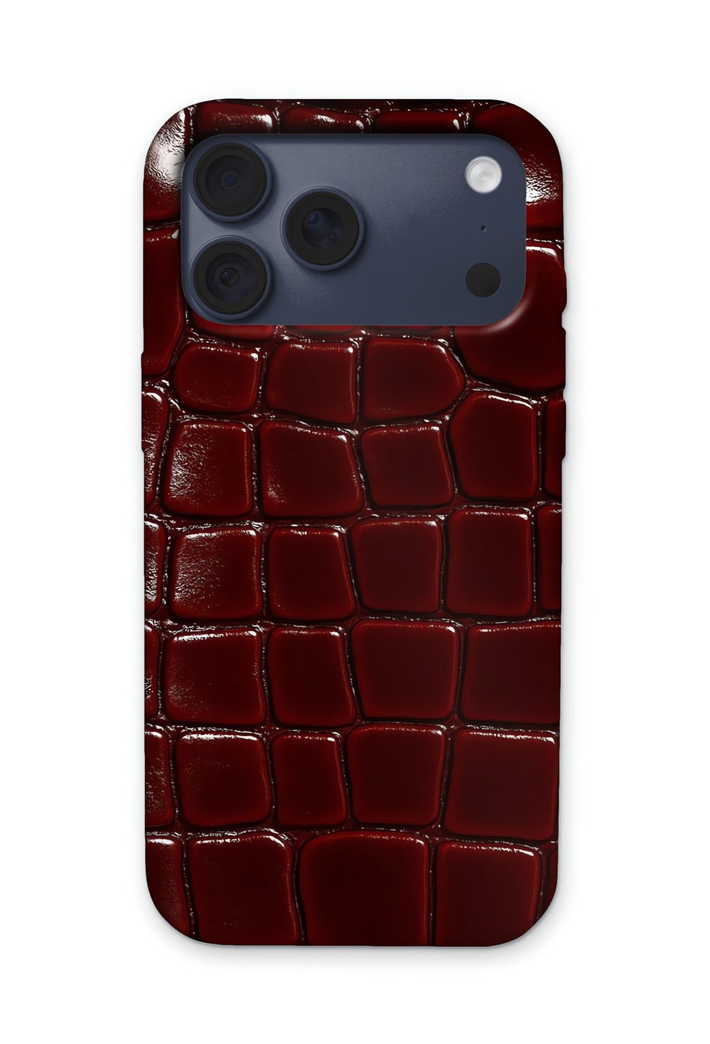 GLOSS CROC