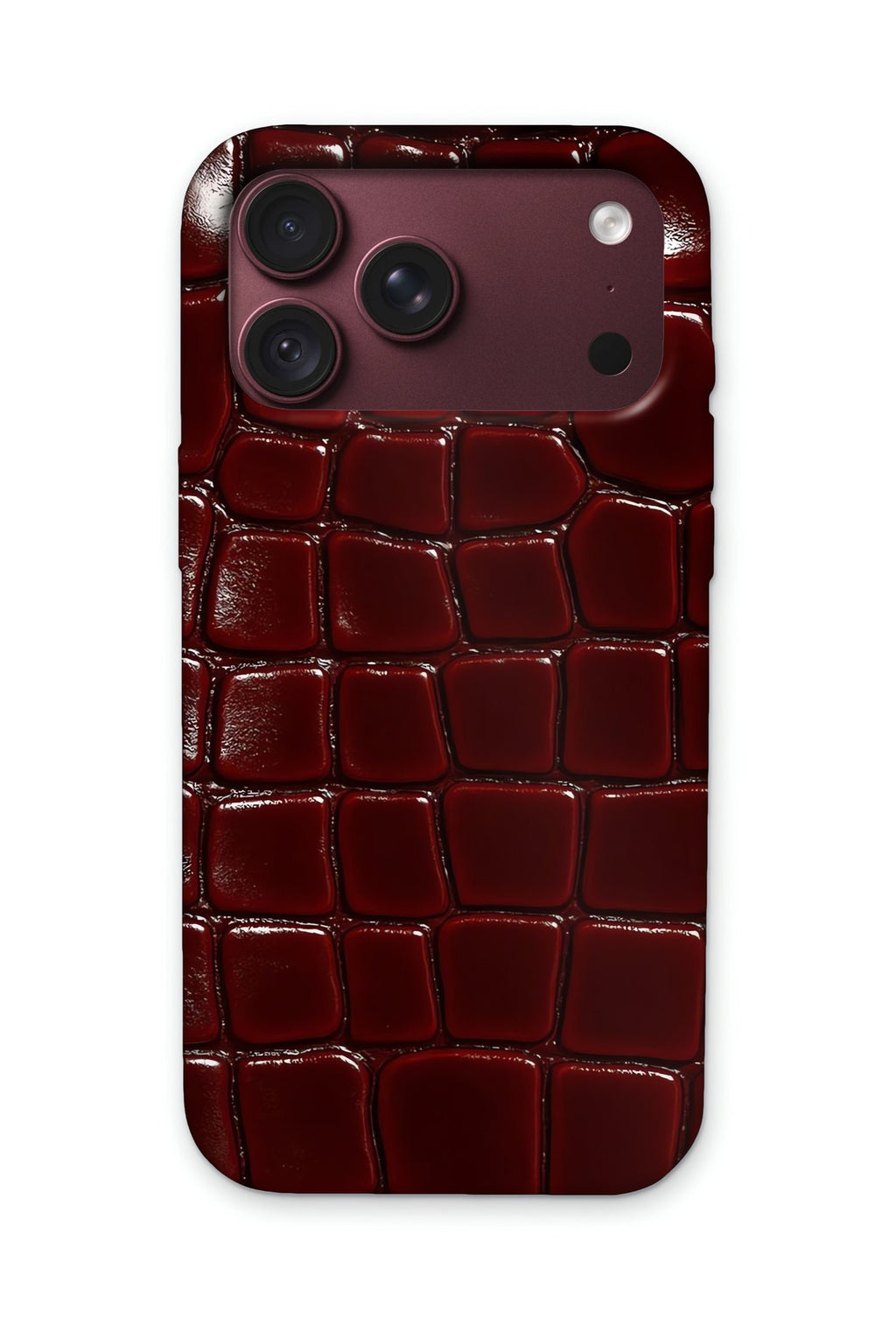 GLOSS CROC