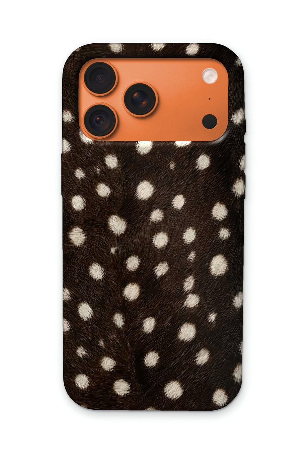 FAWN
