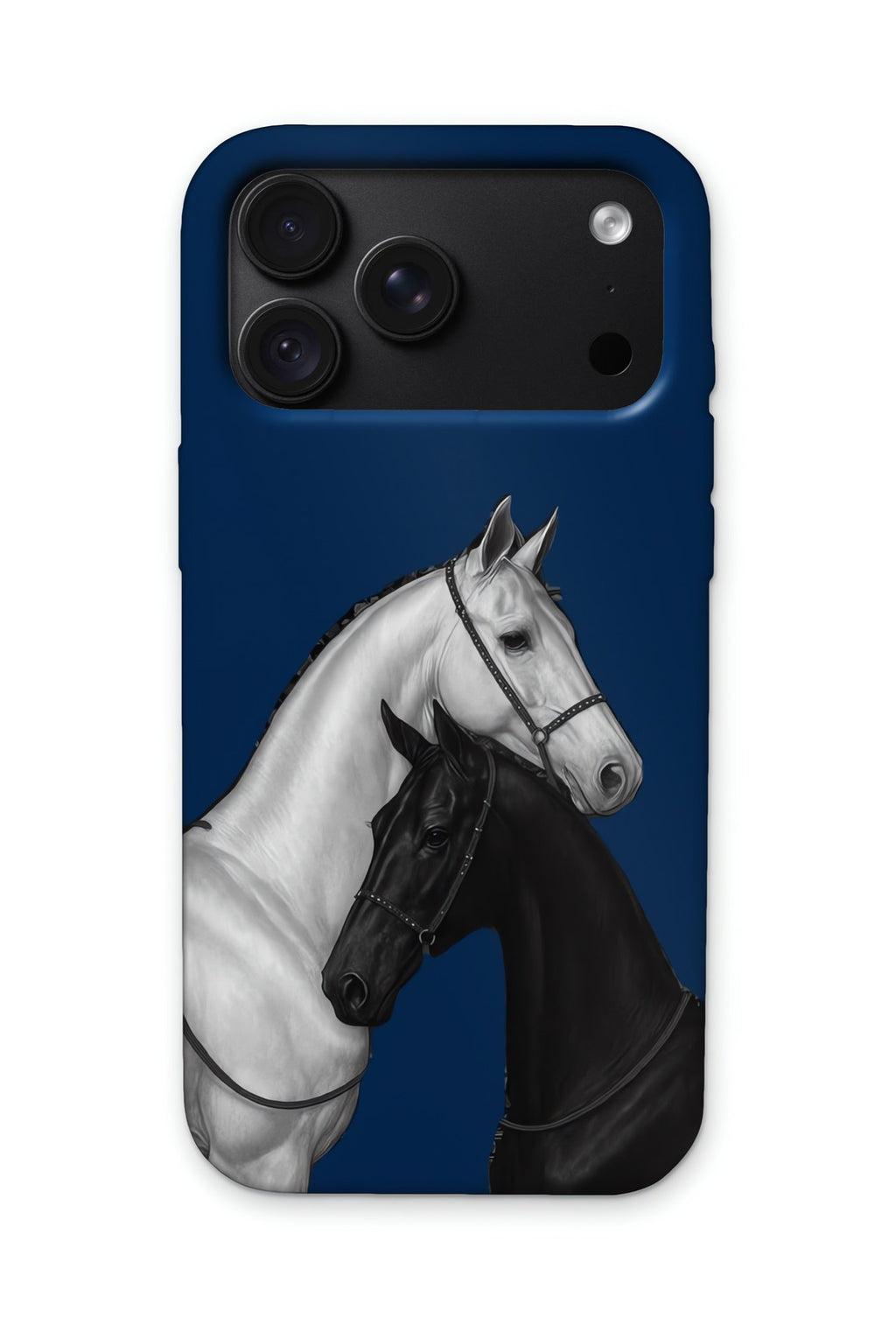 STALLION NAVY