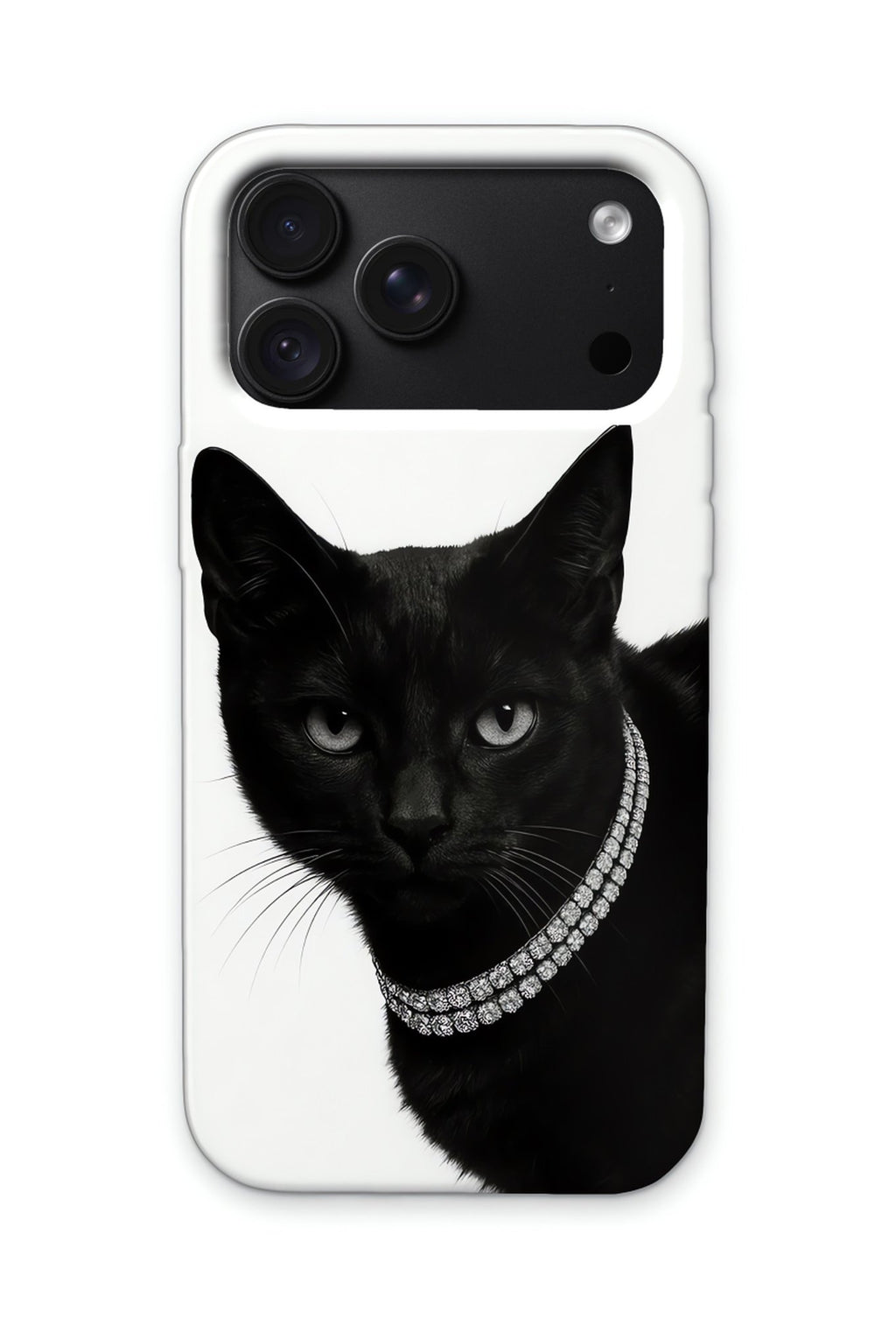 NOIR CAT