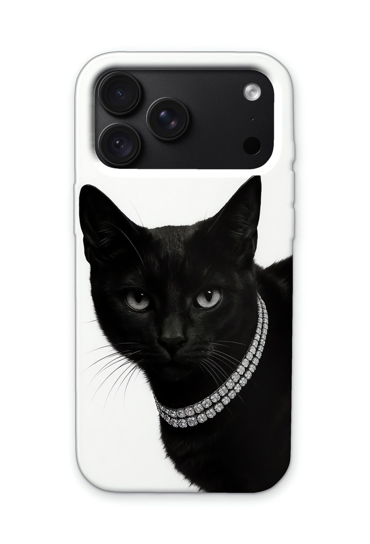 NOIR CAT