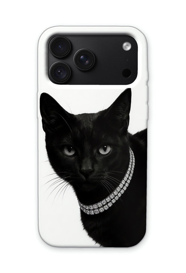 NOIR CAT