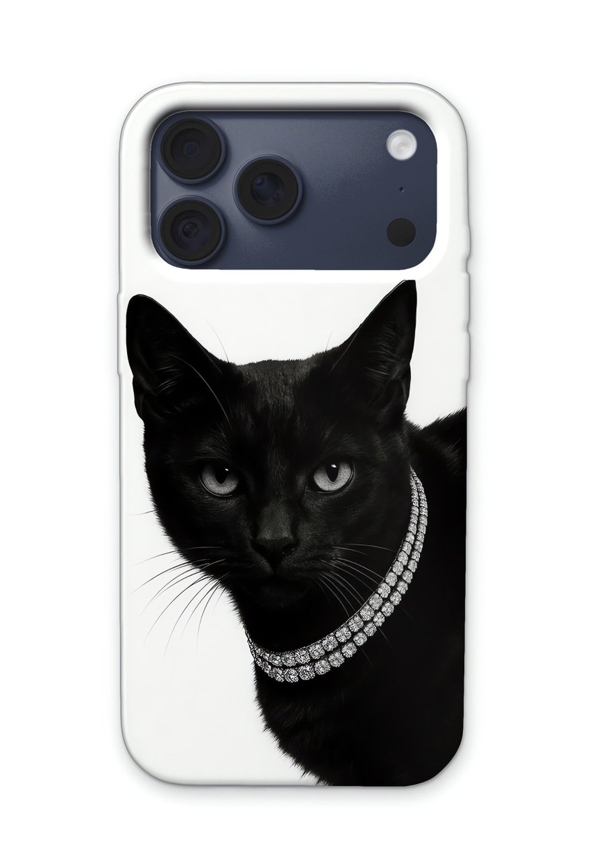 NOIR CAT