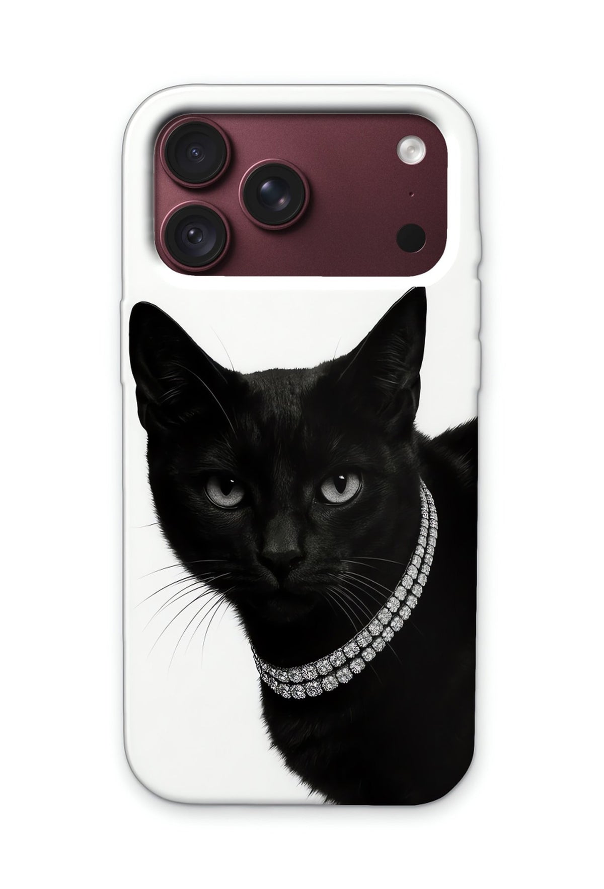 NOIR CAT