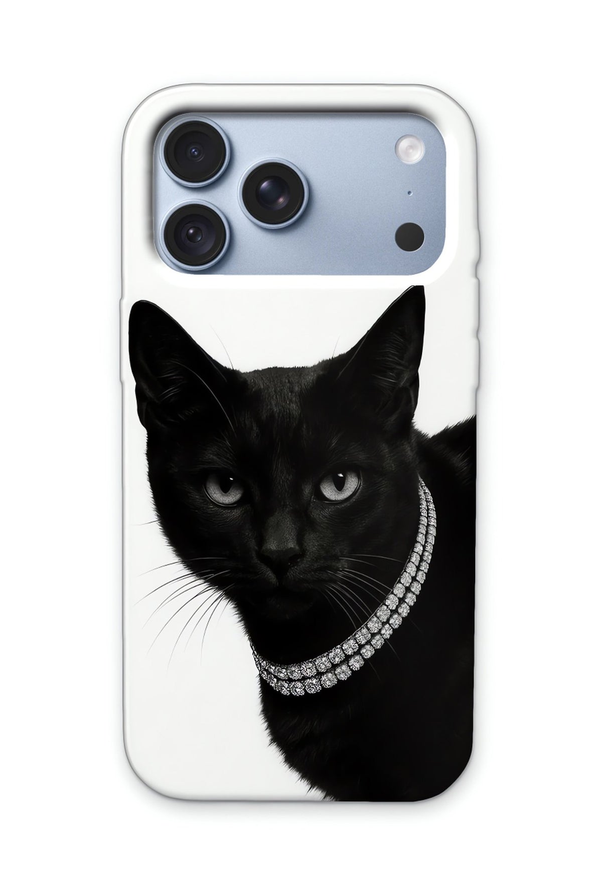 NOIR CAT