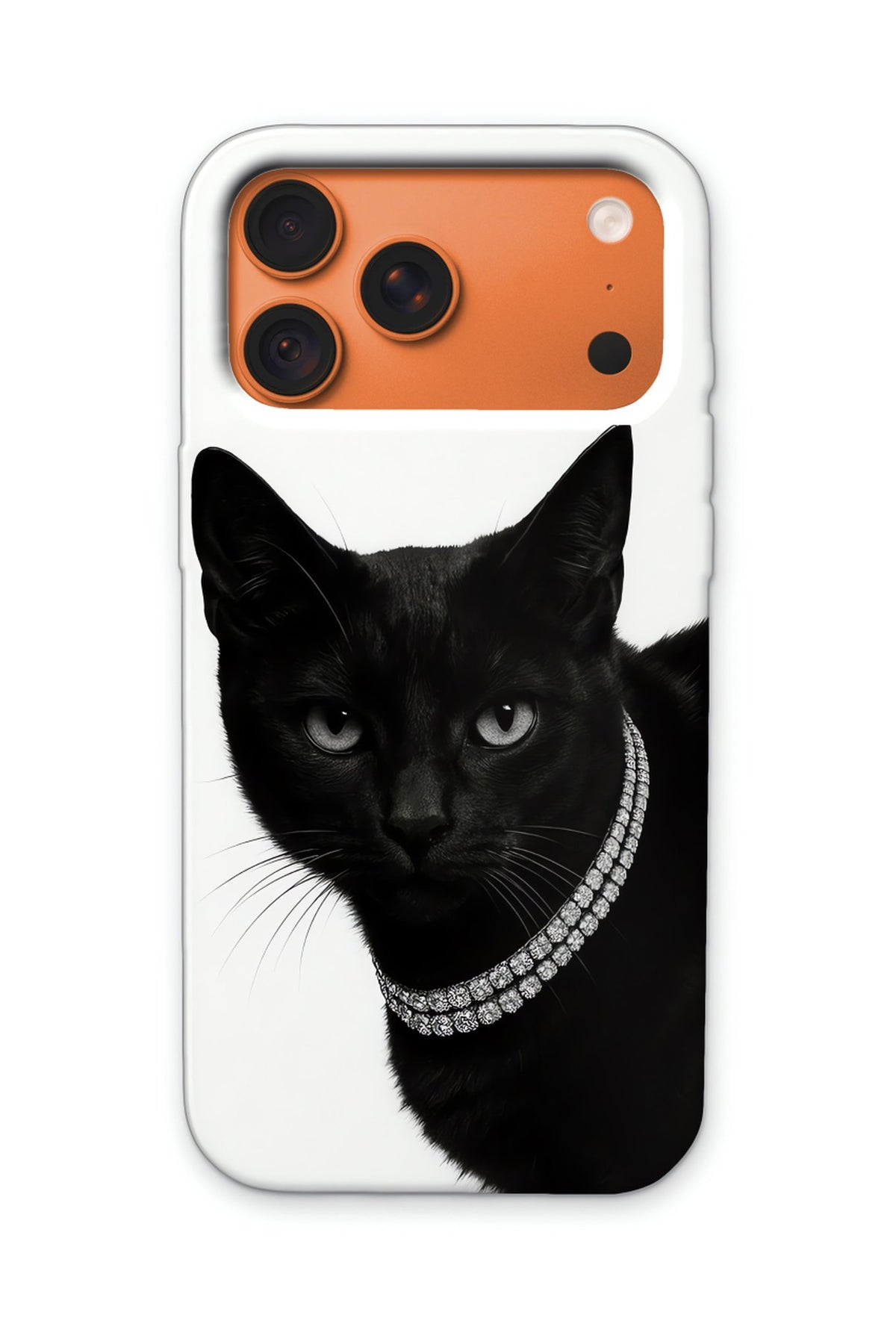 NOIR CAT