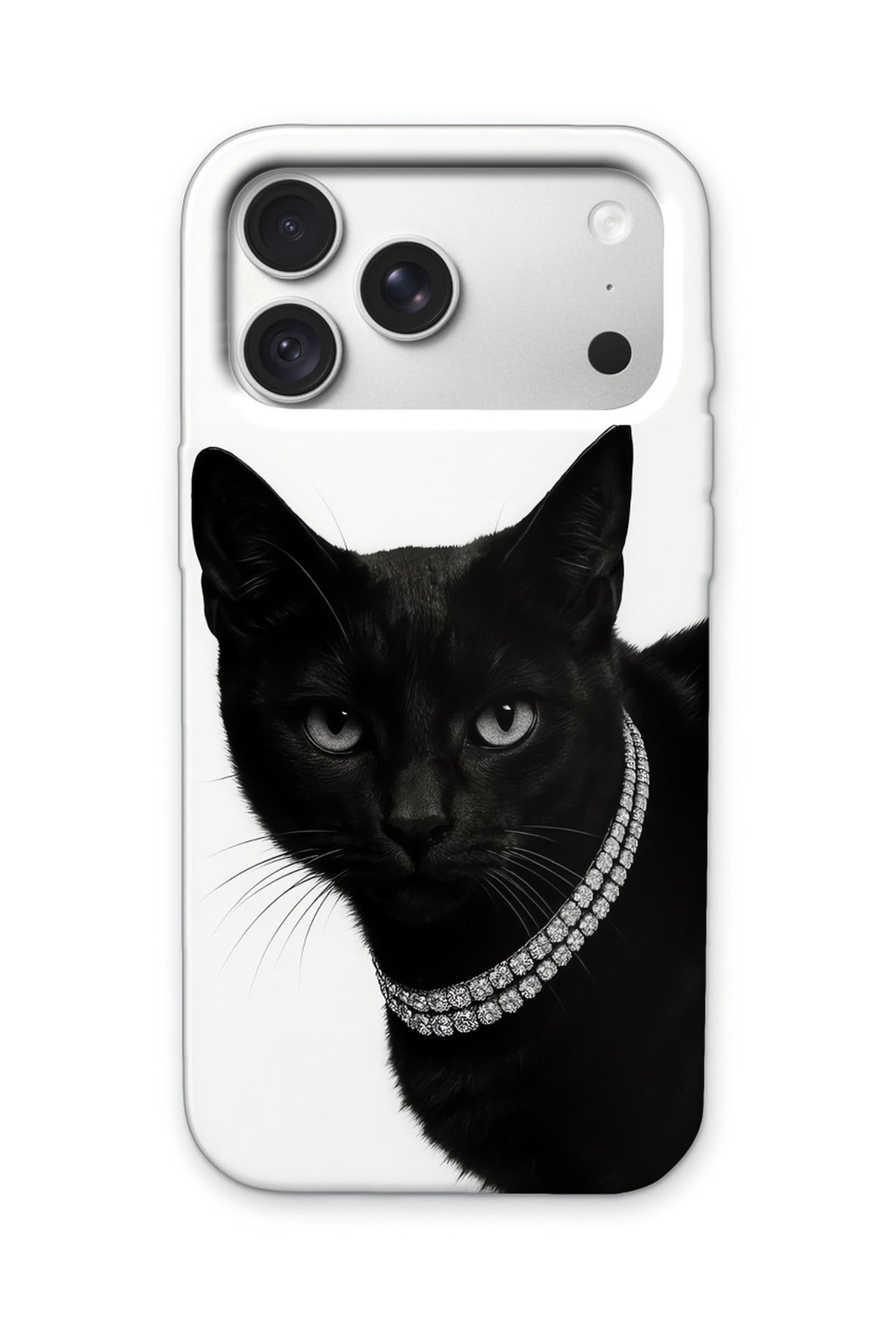 NOIR CAT