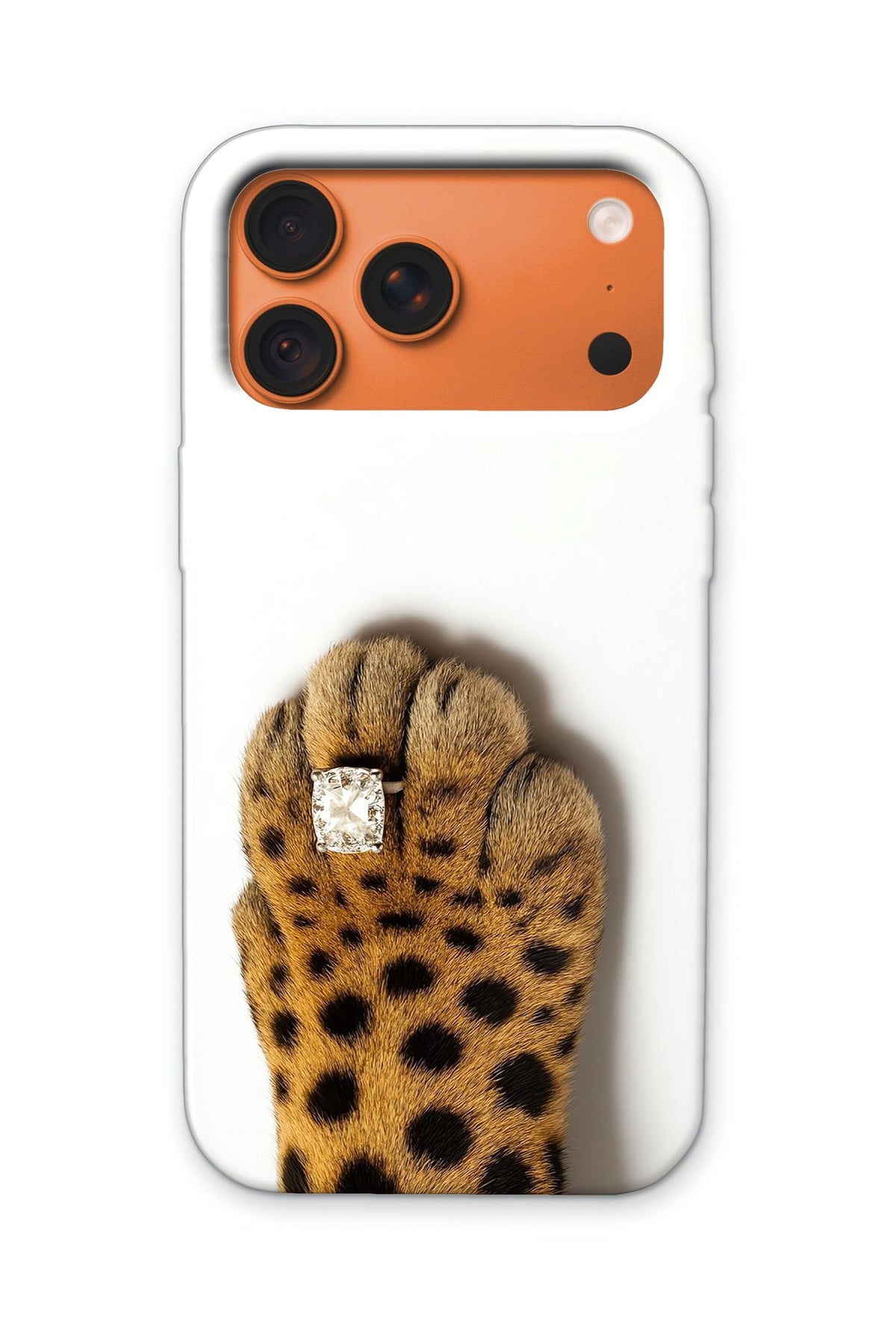 PAW