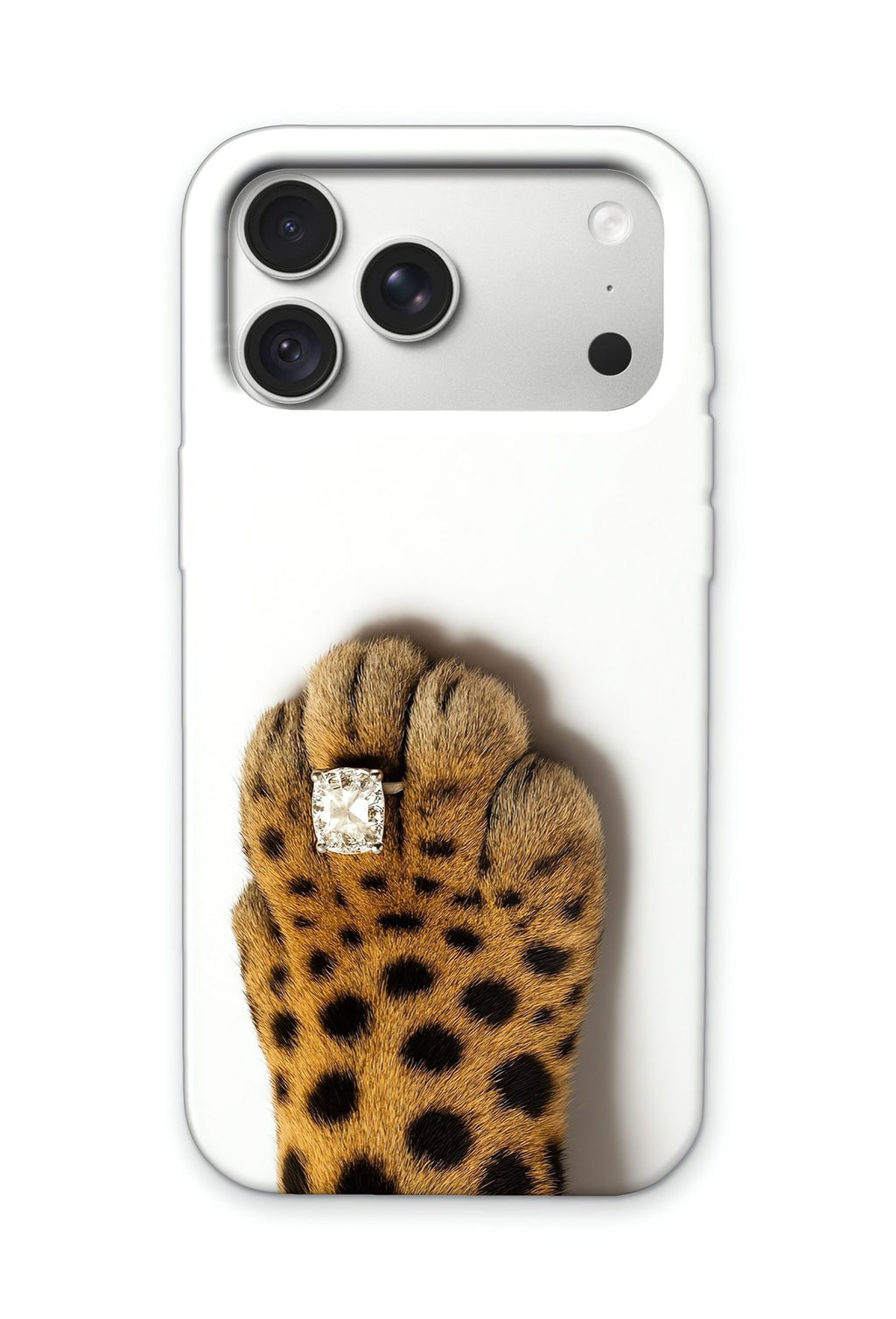 PAW