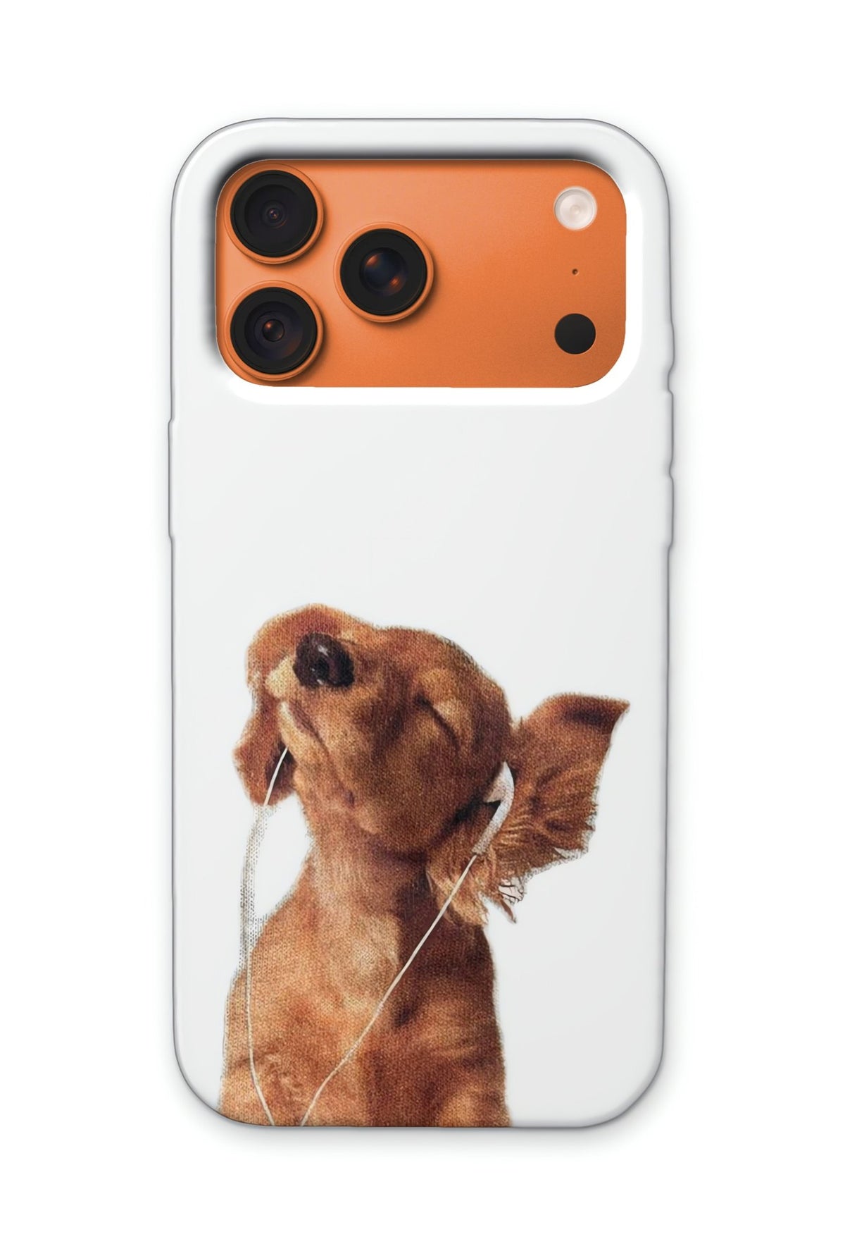 PUPPY